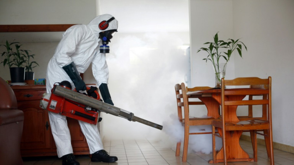 L'&eacute;pid&eacute;mie de dengue progresse en Guadeloupe et Martinique