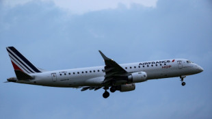 Air France annonce l'annulation de ses vols pr&eacute;vus mardi entre Paris et Kiev 