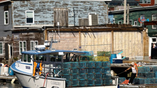 Dans le Maine, victime des co&ucirc;ts, la p&ecirc;che au homard boit la tasse