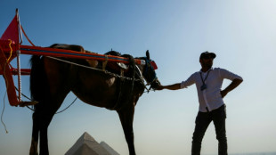 Las pir&aacute;mides fueron construidas junto a un brazo desecado del Nilo en Egipto, seg&uacute;n un estudio