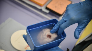 Ecco 'Stem Up', cos&igrave; si orientano gli scienziati di domani