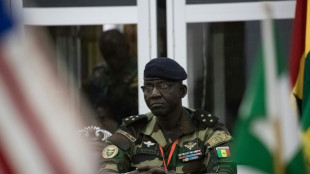 Cedeao est&aacute; 'pronta' para intervir no N&iacute;ger, mas n&atilde;o descarta miss&atilde;o diplom&aacute;tica