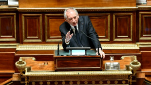 Retraites, &Eacute;ducation: Bayrou fait deux concessions au PS
