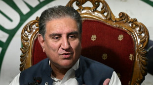 Pakistan police arrest vice-chairman of jailed ex-PM Khan's party