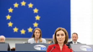 Russia-linked disinfo campaign targets Moldovan election