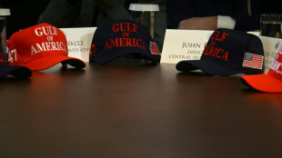 El gabinete de Trump se encoge de hombros ante la contracci&oacute;n econ&oacute;mica