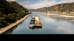 Spazierg&auml;nger finden Wasserleiche in Rhein bei Wiesbaden