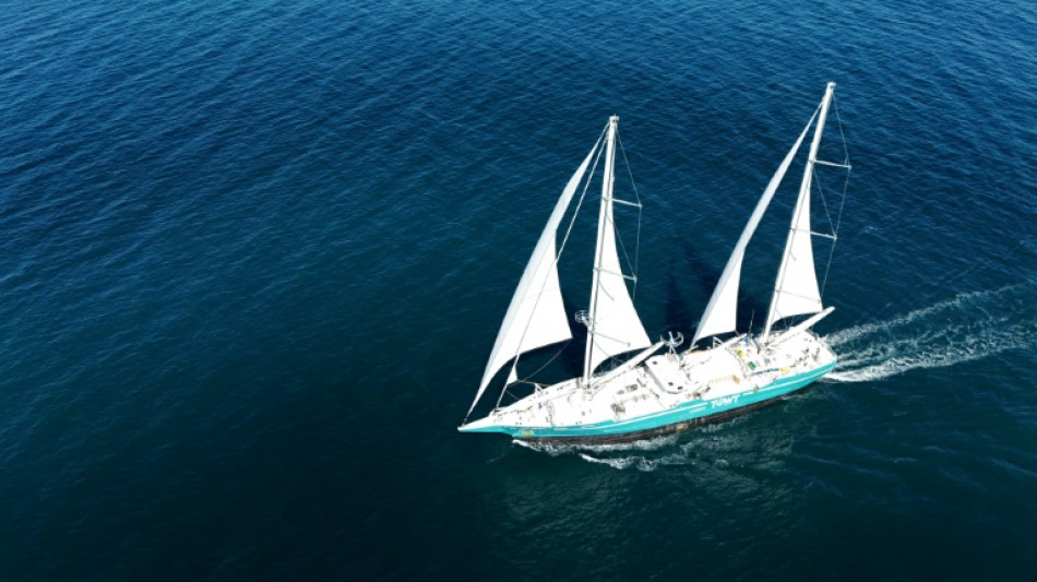 Mitgliedsländer der Seeschiffahrts-Organisation stimmen für weltweites CO2-Preissystem