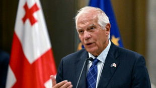 Georgia's EU candidacy depends on reform progress: Borrell