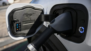 Sector automotor podr&iacute;a poner un pie en el freno de la producci&oacute;n de autos el&eacute;ctricos en EEUU