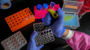 Un laboratorio japonés solicita aprobación para un tratamiento con células madre para el párkinson