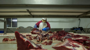 Dutch city to ban meat ads in world first claim