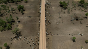 El motor agr&iacute;cola de Bolivia espera el cambio de gobierno para reactivar la marcha