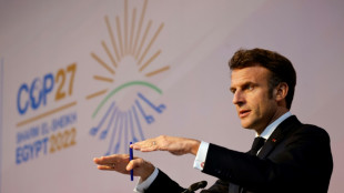 Climat: les industriels &eacute;metteurs de gaz &agrave; effet de serre re&ccedil;us &agrave; l'Elys&eacute;e