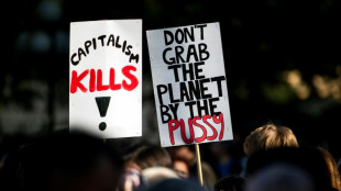 Un grupo presenta una demanda contra Suecia por inacci&oacute;n clim&aacute;tica