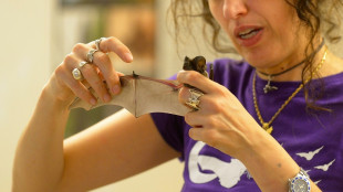 Si chiama Ugo il primo pipistrello italiano con un Gps