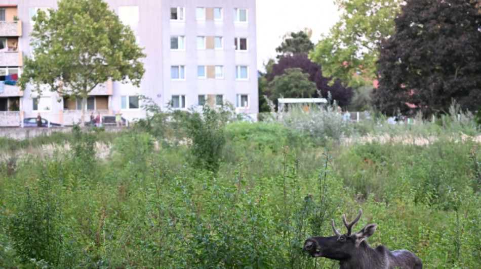 En Autriche, l'&eacute;lan Emil frapp&eacute; d'une obligation de quitter le territoire