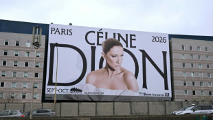 Le grand soir pour C&eacute;line Dion, de retour sur sc&egrave;ne &agrave; Paris