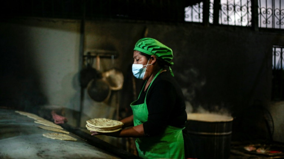 Las ayudas por covid beneficiaron sobre todo a grandes empresas en pa&iacute;ses en desarrollo