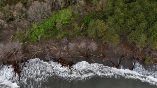 Réchauffement climatique et tourisme, duo explosif pour la cote albanaise