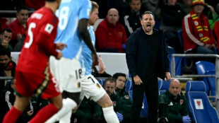 Wales boss Bellamy 'feels a responsibility' with World Cup on line