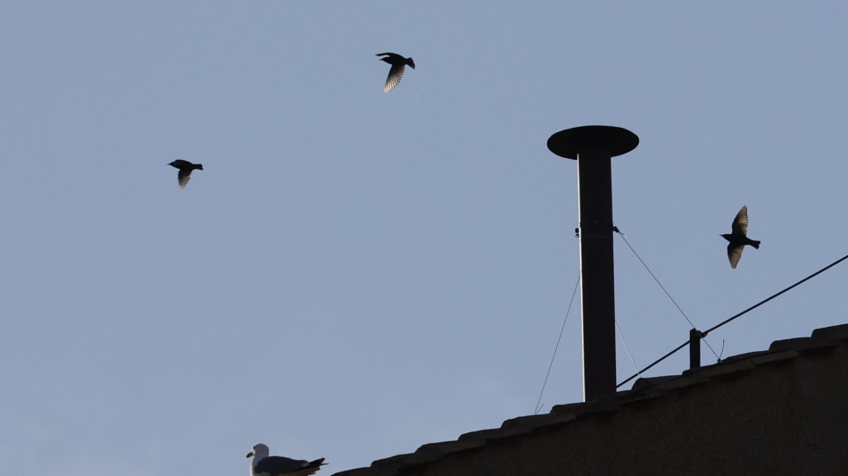 Gi&agrave; 30mila a San Pietro per la fumata, flusso in aumento