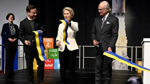 Suecia avanza en carrera para lanzar sat&eacute;lites desde suelo europeo