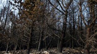 Ecuador declara una emergencia por los incendios forestales y el d&eacute;ficit h&iacute;drico