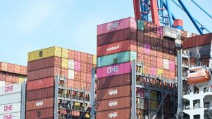 EU-Parlament setzt Umsetzung von US-Zolldeal aus dem vergangenen Jahr fort