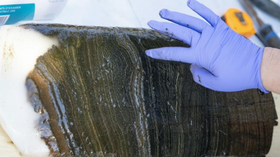 El Antropoceno no es una nueva &eacute;poca geol&oacute;gica, dice una entidad cient&iacute;fica de referencia