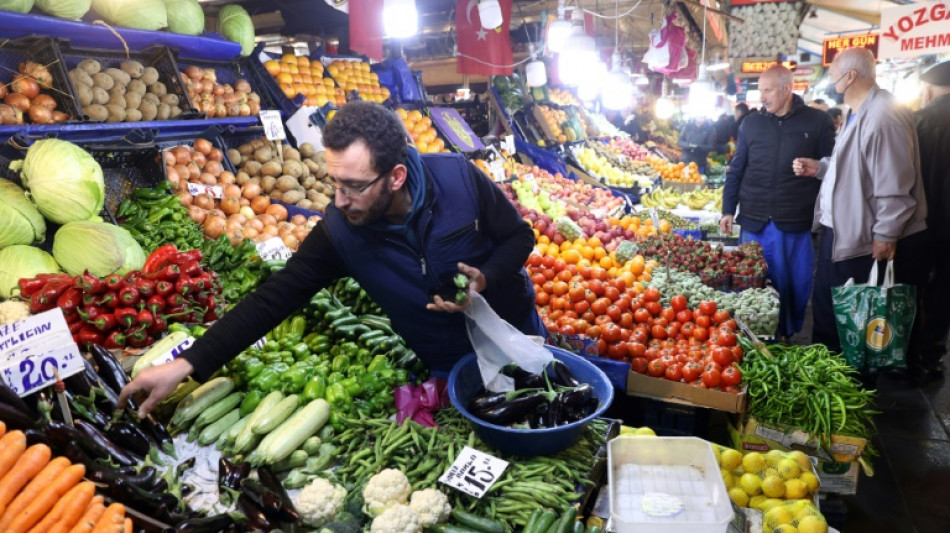 Turquie: l'inflation &agrave; 73,50% en mai sur un an