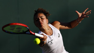 Tennis: Paolini, mi allenera' Gaio a Cincinnati e Us Open