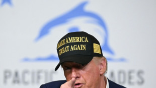 Trump-Regierung entl&auml;sst interne Kontrolleure und Personal in Diversit&auml;tsstellen