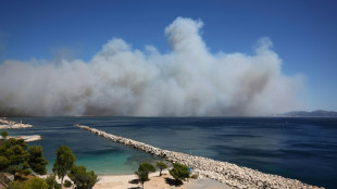 France wildfire shuts down Marseille airport, halts trains