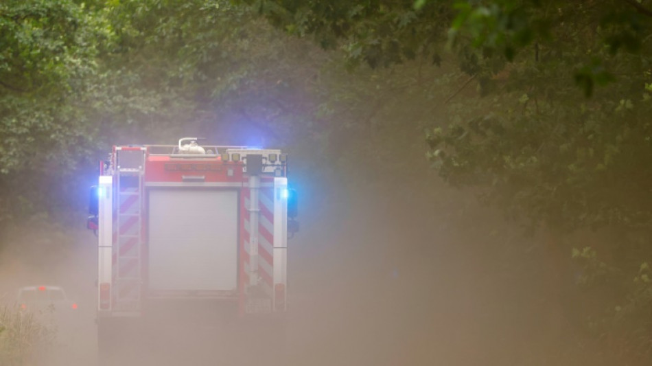 Feuerwehren bek&auml;mpfen zwei gro&szlig;e Waldbr&auml;nde in westlichem Mecklenburg-Vorpommern