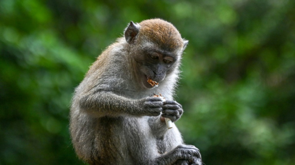WHO: Tabakindustrie einer der "gr&ouml;&szlig;ten Umweltverschmutzer der Welt"