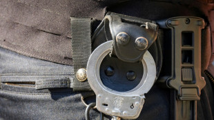 Durchsuchungen gegen mutma&szlig;liche Planenschlitzerbande: Haftbefehle vollstreckt
