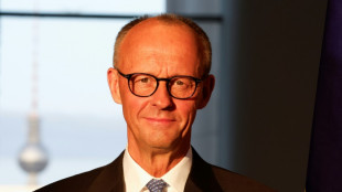 Hobbypilot Merz k&ouml;nnte Regierungsmaschine zur Not "vielleicht landen"