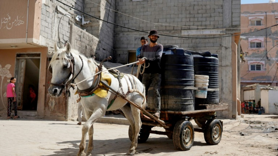Medio mill&oacute;n de palestinos huyen de Rafah ante la amenaza de una ofensiva israel&iacute;
