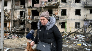 FDP fordert Reform des europ&auml;ischen Asylsystems