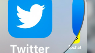 Twitter-Aktienkurs nach Einstieg von Elon Musk vorb&ouml;rslich 25 Prozent im Plus
