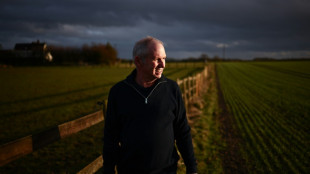 Renouvelables: dans la campagne anglaise couve la guerre des pyl&ocirc;nes