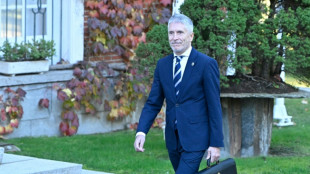 Ocho detenidos en los disturbios antinmigrantes en el sureste de Espa&ntilde;a