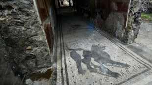 AI helps Latin scholars decipher ancient Roman texts