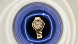 Relojeros juegan con los materiales para seducir a la nueva generaci&oacute;n de compradores