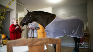 Dounka, la jument qui murmure &agrave; l'oreille des seniors