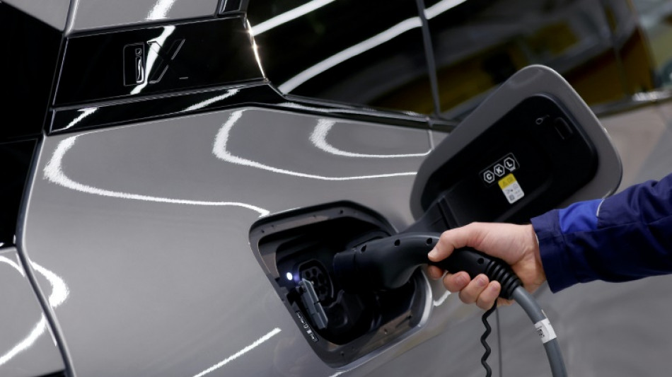 Batteries &eacute;lectriques: la Cour des comptes de l'UE s'alarme des risques sur la production