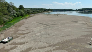 La peor sequ&iacute;a en 70 a&ntilde;os afecta el coraz&oacute;n agroindustrial del norte de Italia