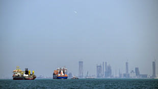 Neue iranische Angriffswelle auf &Ouml;l-Anlagen in Golfregion - &Ouml;lpreise steigen erneut