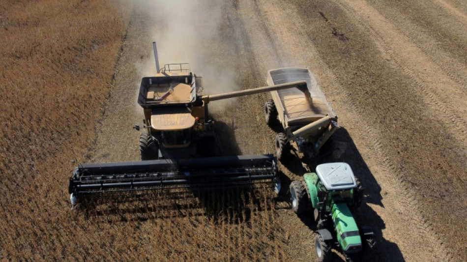 Argentina tienta a productores de soja para que ingresen sus d&oacute;lares